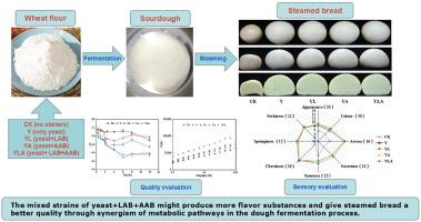 Effects of acetic acid bacteria in starter culture on the properties of sourdough and steamed bread