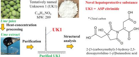 Investigating a novel hepatoprotective substance from ume extract (heated Japanese apricot juice concentrate). Part 2: Elucidation of chemical structure