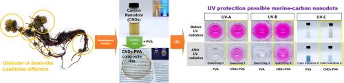 One-pot synthesis of UV-protective carbon nanodots from sea cauliflower (Leathesia difformis)