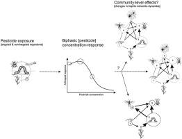 Pesticide-induced hormesis in arthropods: Towards biological systems