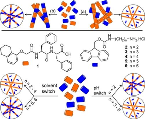 Controlling Self-Sorting versus Co-assembly in Supramolecular Gels