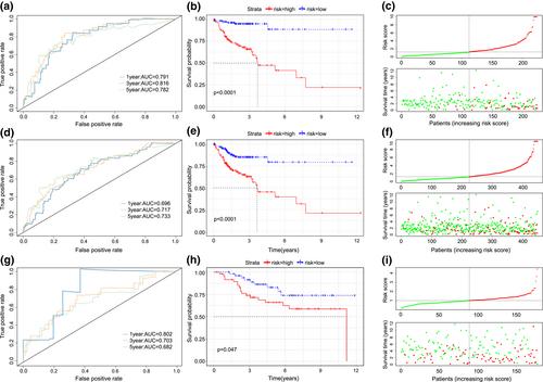 Identification and validation of a seven-gene prognostic marker in colon cancer based on single-cell transcriptome analysis