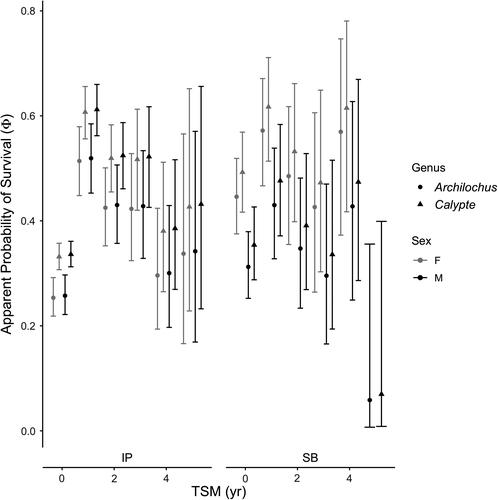 Demography of two species and one genus of hummingbirds with contrasting population trends in California, USA