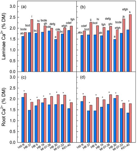 Rootstock type influences salt exclusion response of grafted Shiraz under salt treatment at elevated root zone temperature