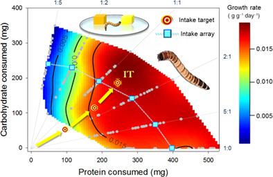 Geometric analysis of macronutrient selection and balancing in the superworm, Zophobas atratus