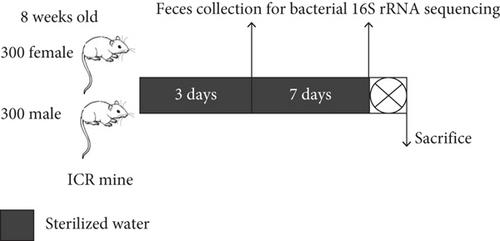 Bacterial Atlas of Mouse Gut Microbiota