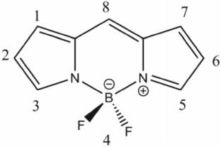 Design of the novel calix[n]BODIPY molecules (n = 4–8): TDDFT and AIM study