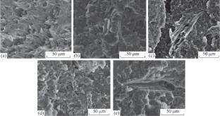 Novel Biocomposites Based on El Retma Natural Fiber and PLA/PC Mixture Compatibilized Using Samarium Acetylacetonate Catalyzed Interchange Reactions