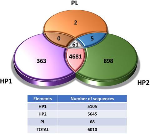 Chicken liver is a potential reservoir of bacteriophages and phage-derived particles containing antibiotic resistance genes