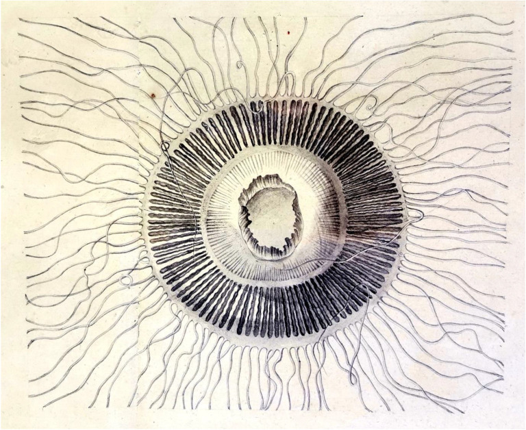 Abstract Image