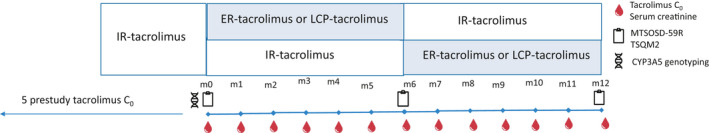 A randomized crossover study comparing different tacrolimus formulations to reduce intrapatient variability in tacrolimus exposure in kidney transplant recipients.