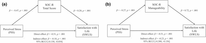 Salutary mechanisms in the relationship between stress and health: The mediating and moderating roles of Sense of Coherence-Revised.
