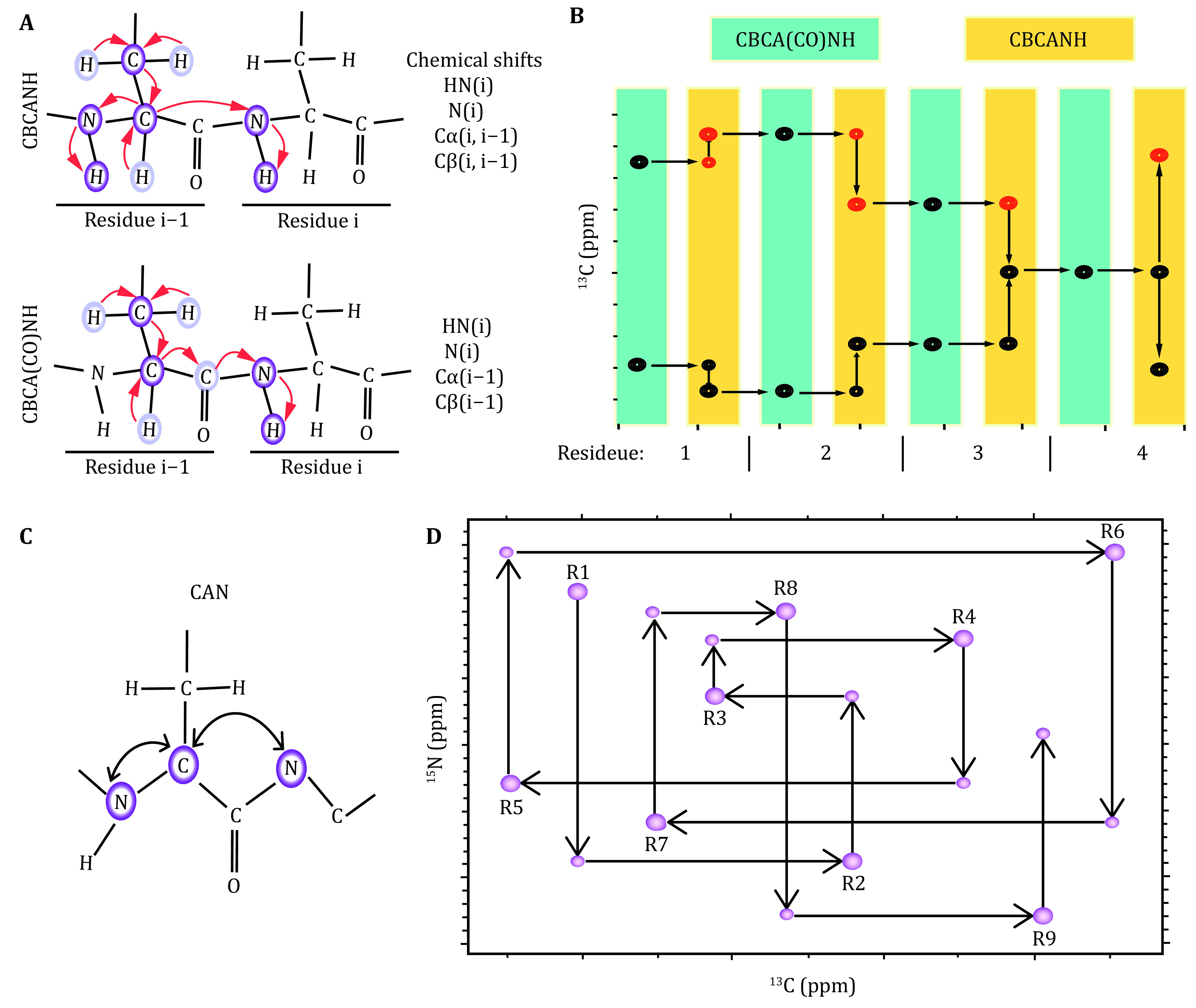 Driving force of biomolecular liquid-liquid phase separation probed by nuclear magnetic resonance spectroscopy.