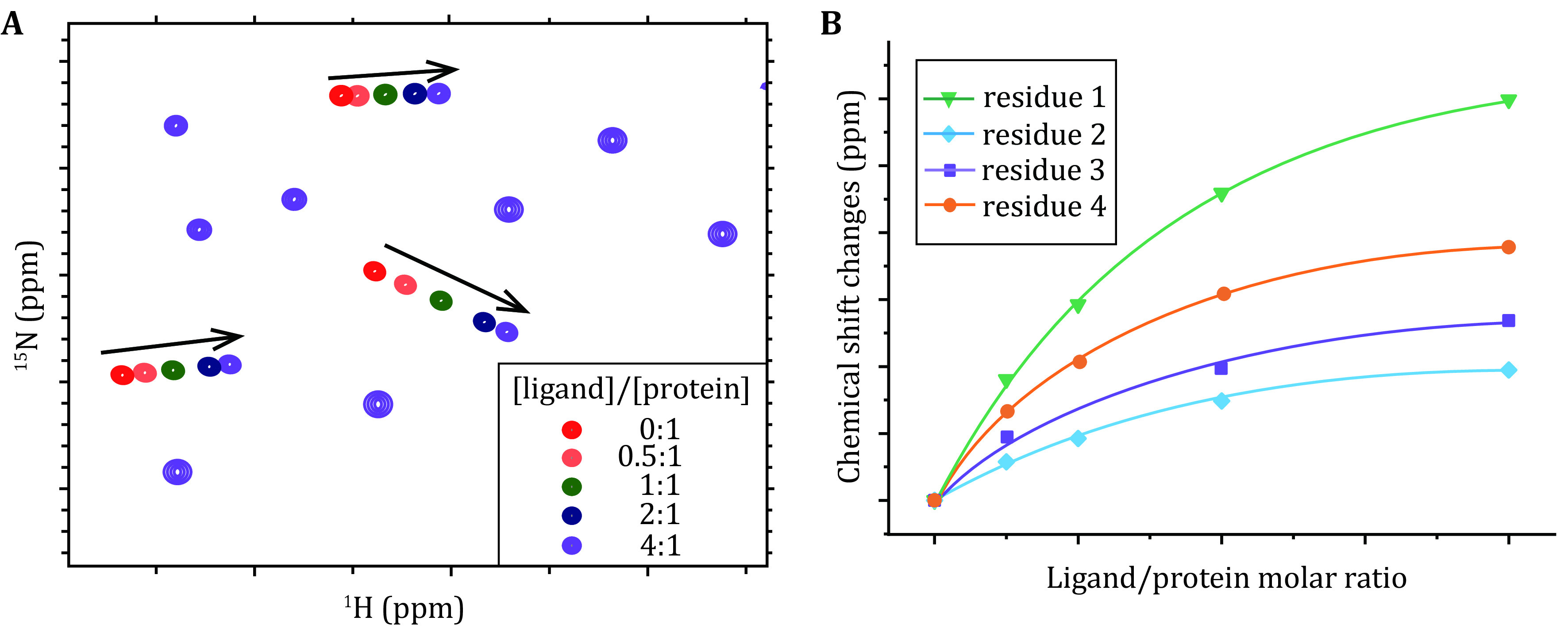 Driving force of biomolecular liquid-liquid phase separation probed by nuclear magnetic resonance spectroscopy.