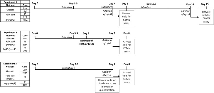 Folic acid deficiency increases sensitivity to DNA damage by glucose and methylglyoxal.