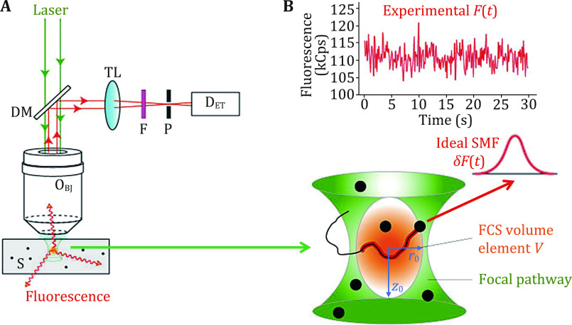 Principles of fluorescence correlation spectroscopy applied to studies of biomolecular liquid-liquid phase separation.