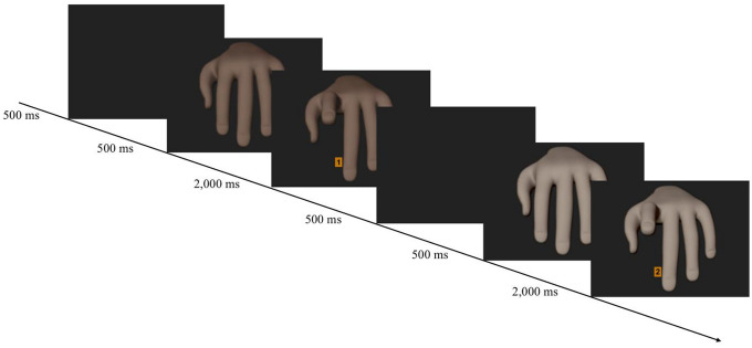 Group membership does not modulate automatic imitation.