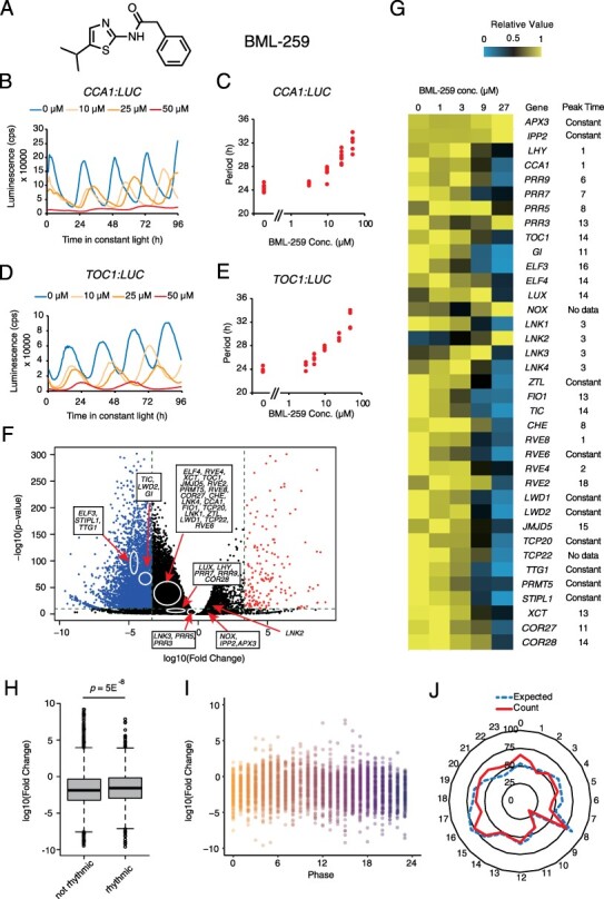 Phosphorylation of RNA Polymerase II by CDKC;2 Maintains the Arabidopsis Circadian Clock Period.