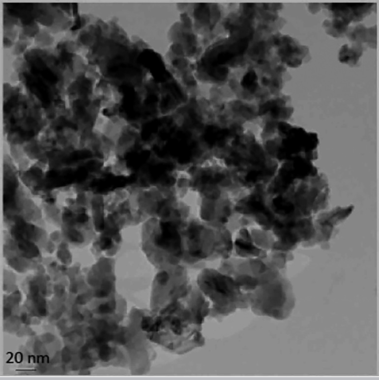 Effect of Nanoalumina on Sex Hormones and Fetuses in Pregnant Rats.