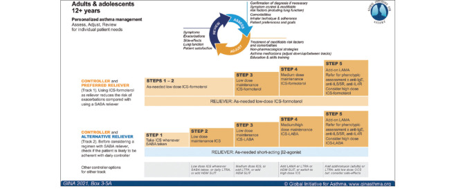 Challenges and recommendations for the management of asthma in the Middle East and Africa.