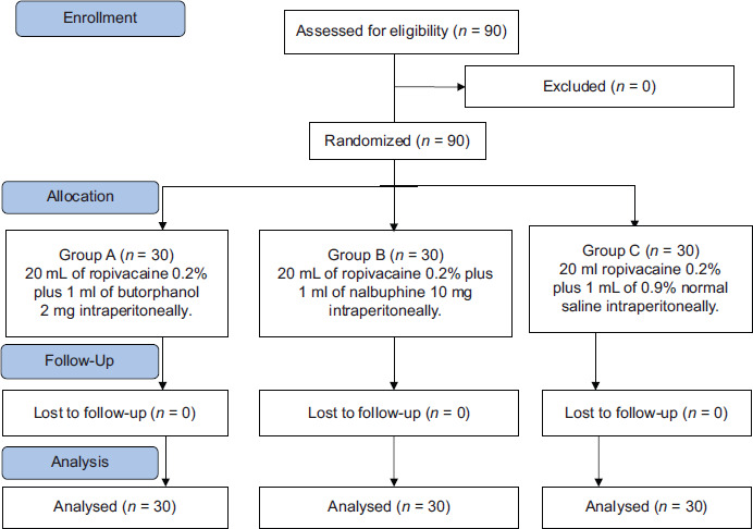 Comparison of the Efficacy of Intraperitoneal Instillation of Butorphanol Versus Nalbuphine as Adjuvants to Ropivacaine for Postoperative Pain Relief in Patients Undergoing Laparoscopic Cholecystectomy Under General Anesthesia: A Randomized, Double-Blind Placebo-Controlled Study.