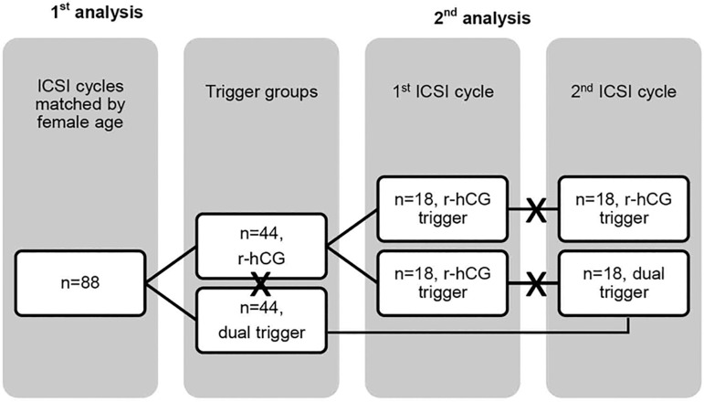 Dual trigger improves response to ovarian stimulation and ICSI outcomes in patients with a previous r-hCG triggered ICSI cycle.