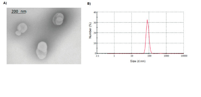 Evaluation of the Biodistribution of Arginine, glycine, aspartic acid peptide-modified Nanoliposomes Containing Curcumin in Rats.