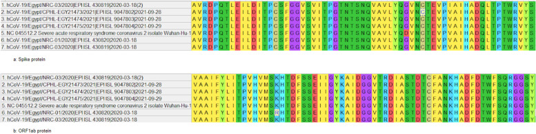 Immunoinformatics approach of epitope prediction for SARS-CoV-2.