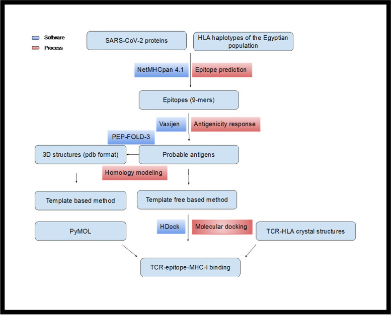 Immunoinformatics approach of epitope prediction for SARS-CoV-2.