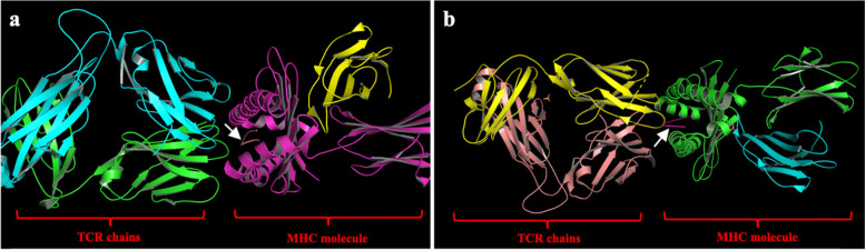 Immunoinformatics approach of epitope prediction for SARS-CoV-2.