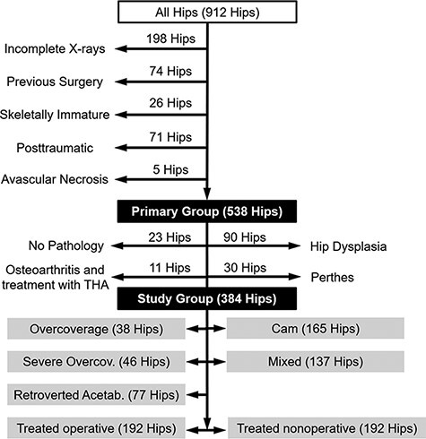 Combined abnormalities of femoral version and acetabular version and McKibbin Index in FAI patients evaluated for hip preservation surgery.