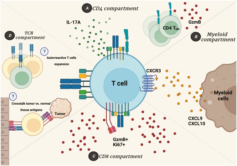 Balancing the good and the bad: controlling immune-related adverse events versus anti-tumor responses in cancer patients treated with immune checkpoint inhibitors.