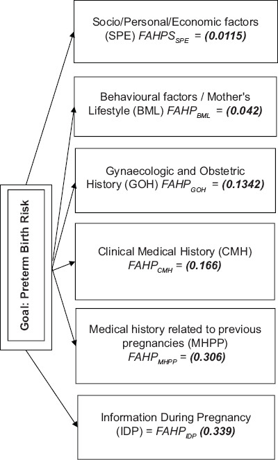 Construction and validation of a preterm birth risk assessment model using fuzzy analytic hierarchy process.