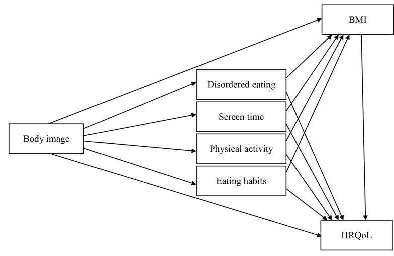 Network Associations Among Body Image, Lifestyle, Body Mass Index, and Quality of Life in Adolescents.