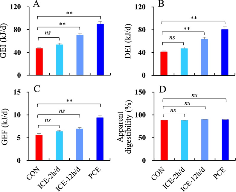 Cold exposure prevents fat accumulation in striped hamsters refed a high-fat diet following food restriction.