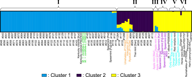 Classification of Southeast Asian mints (<i>Mentha</i> spp.) based on simple sequence repeat markers.