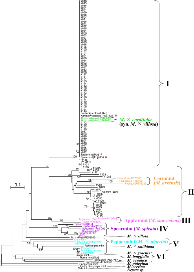 Classification of Southeast Asian mints (<i>Mentha</i> spp.) based on simple sequence repeat markers.