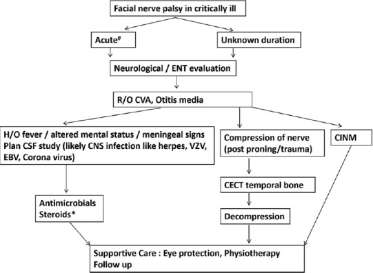 Approach to new-onset facial nerve palsy in a critically ill patient: A case report.