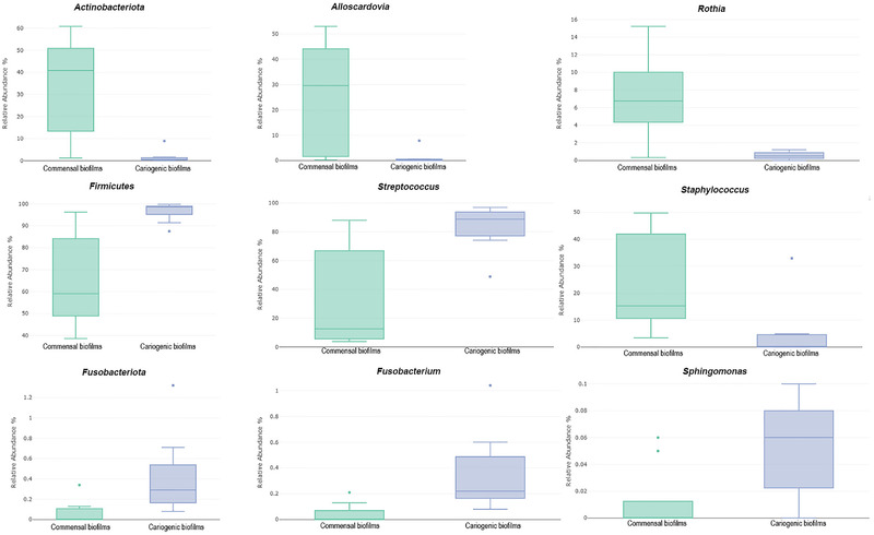 Metataxonomic and metabolomic evidence of biofilm homeostasis disruption related to caries: An in vitro study.