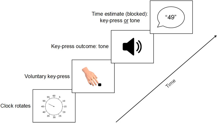 Examining the effect of Libet clock stimulus parameters on temporal binding.