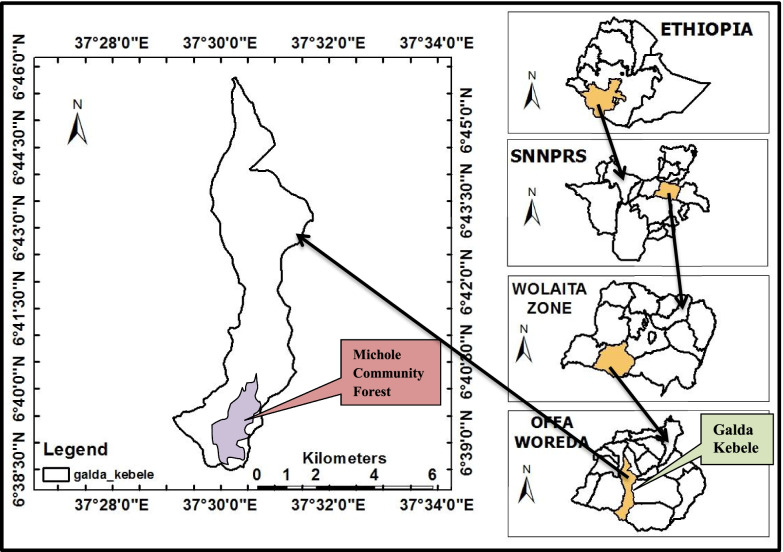 Terrestrial medium and large-sized mammalian species diversity in Michole Community Protected Forest, southern Ethiopia.