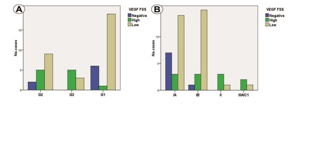 VEGF Immunoexpression in Endometrioid Endometrial Carcinomas.