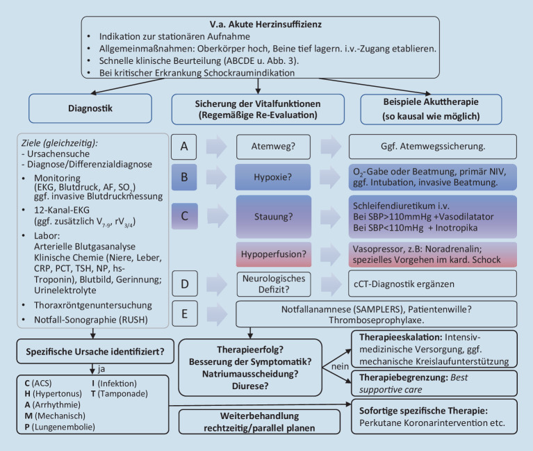 [68/m-Acute dyspnea and moist crepitations : Preparation for the medical specialist examination: part 129].