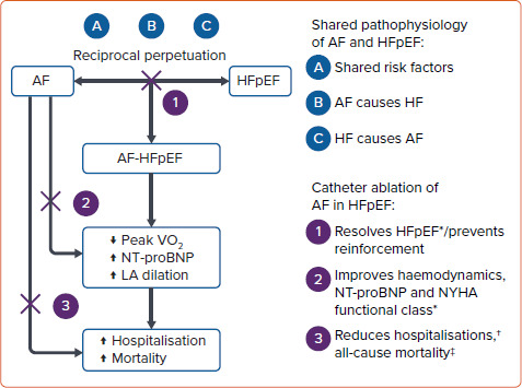 Safety, Efficacy and Prognostic Benefit of Atrial Fibrillation Ablation in Heart Failure with Preserved Ejection Fraction.