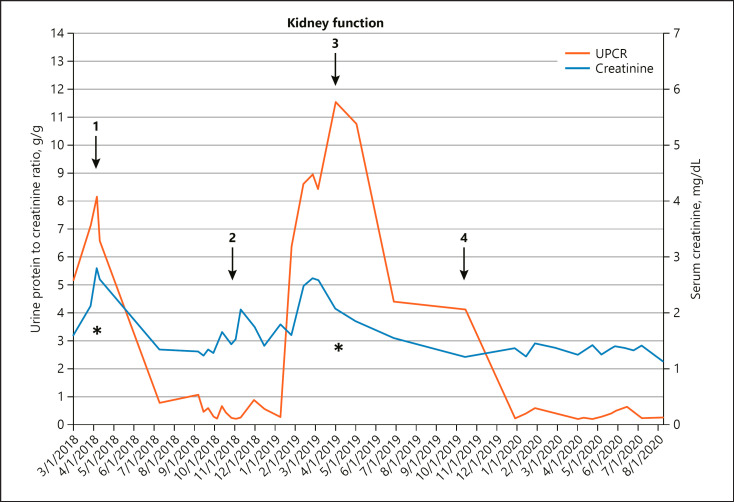 Repository Corticotropin in Treating de novo C3 Glomerulonephritis after Transplantation.