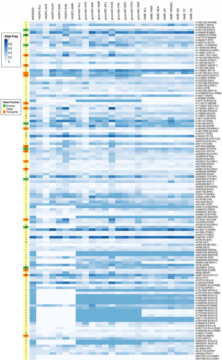 Pharmacogenomic landscape of Indian population using whole genomes.