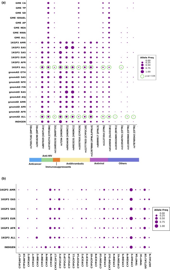 Pharmacogenomic landscape of Indian population using whole genomes.