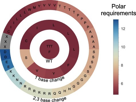 Highly efficient libraries design for saturation mutagenesis.