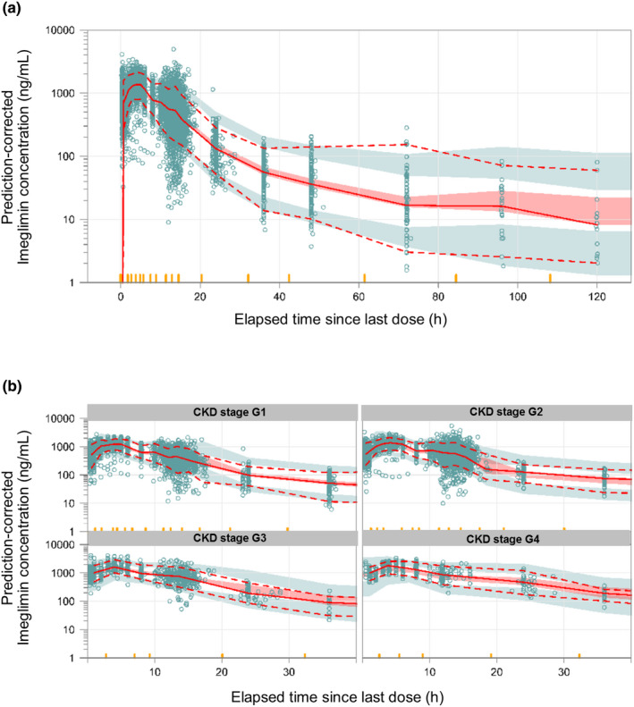 Imeglimin population pharmacokinetics and dose adjustment predictions for renal impairment in Japanese and Western patients with type 2 diabetes.