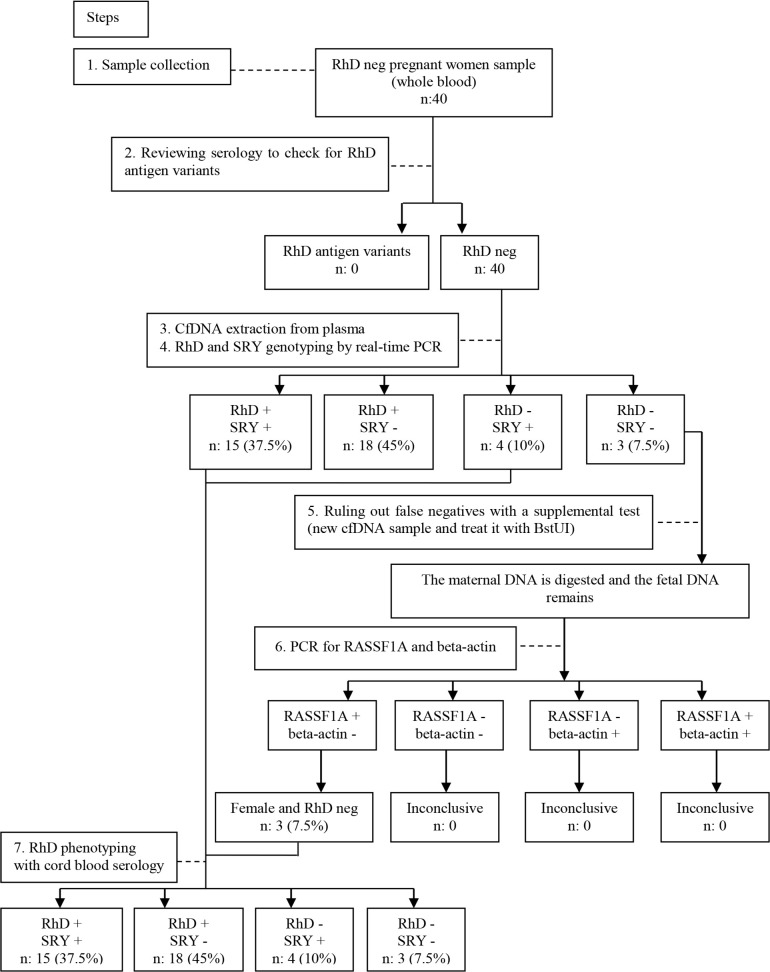 Noninvasive Prenatal Diagnosis of Fetal RHD Status Using Cell-free Fetal DNA in Maternal Plasma.